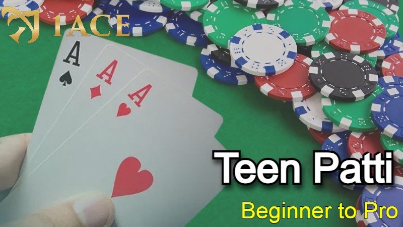 Teen Patti Made Simple: Learn the Basics and Master the Game